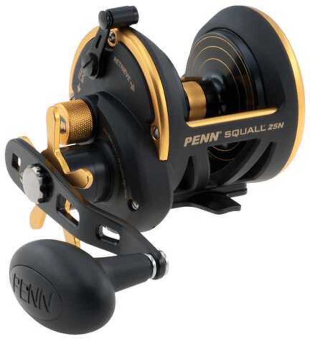 Penn Squall 25N Star Drag Reel Ratio 6.0:1 image 0
